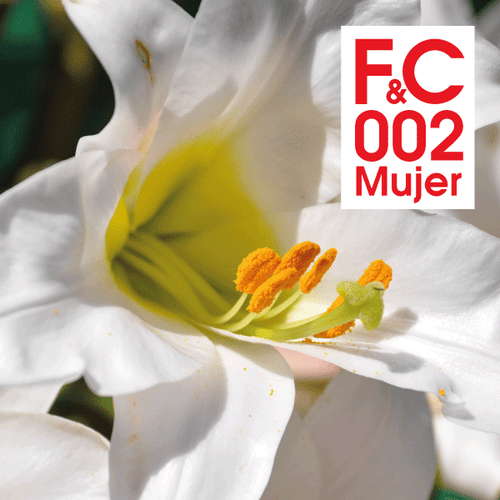 Perfume Mujer FC002 100ml