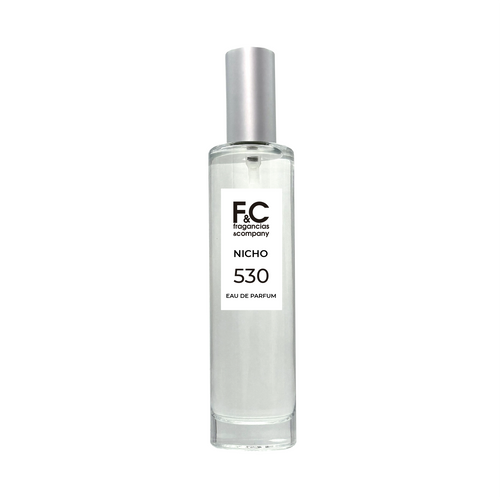 FC530 Similar a Ambre Nuit Dior