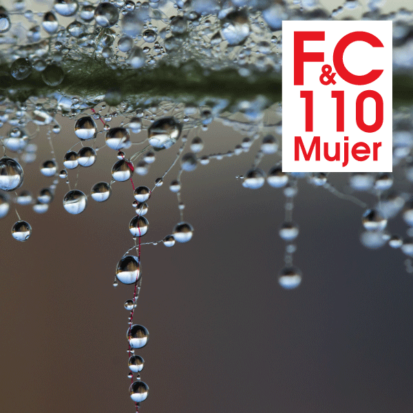 FC110