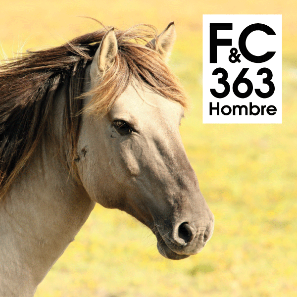 Perfume Hombre FC363 100ml