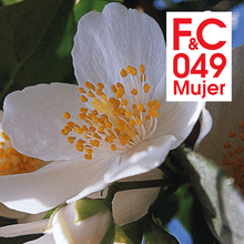 Perfume Mujer FC049 100ml
